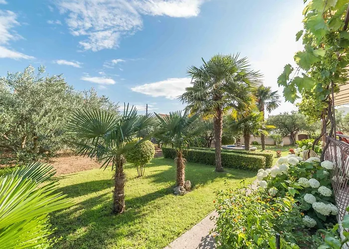 Maria ヴォディツェ